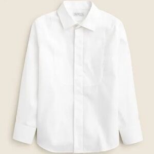 Kids' Ludlow J. Crew Crewcuts Shirt